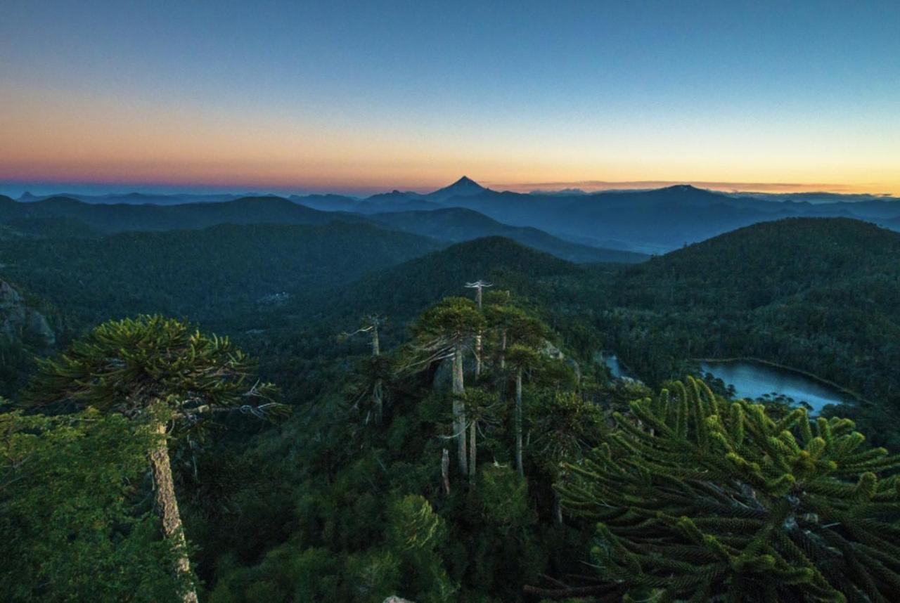 Pucon, La Capital Del Sur De Chile Διαμέρισμα Εξωτερικό φωτογραφία