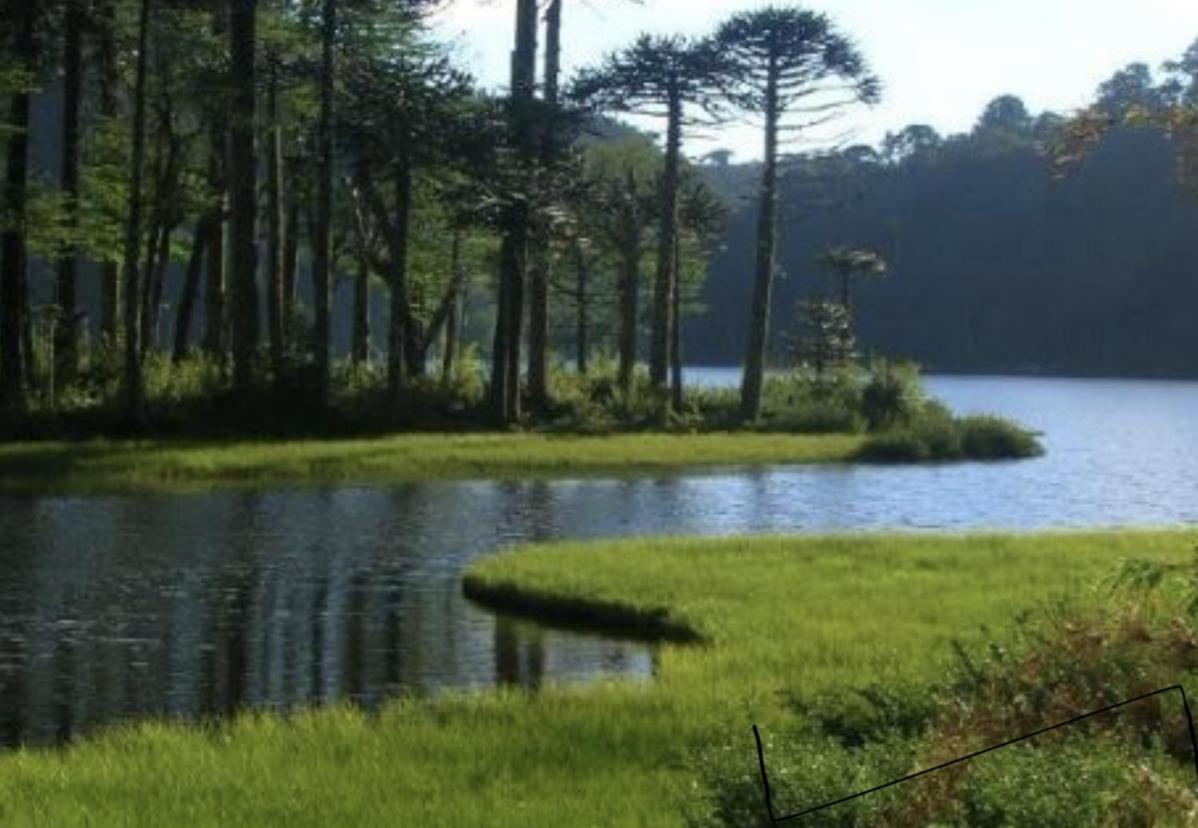 Pucon, La Capital Del Sur De Chile Διαμέρισμα Εξωτερικό φωτογραφία