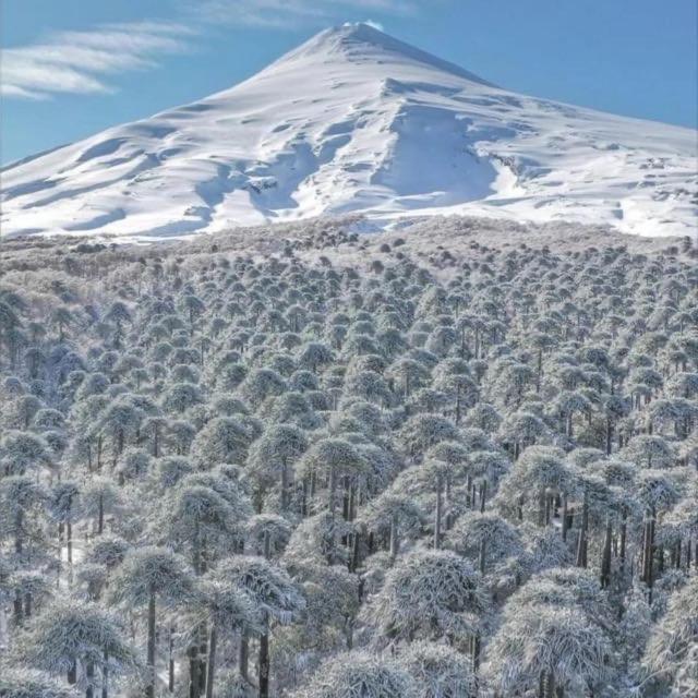 Pucon, La Capital Del Sur De Chile Διαμέρισμα Εξωτερικό φωτογραφία